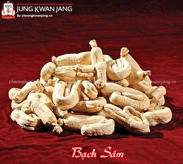 hình sảnh bạch sâm củ khô