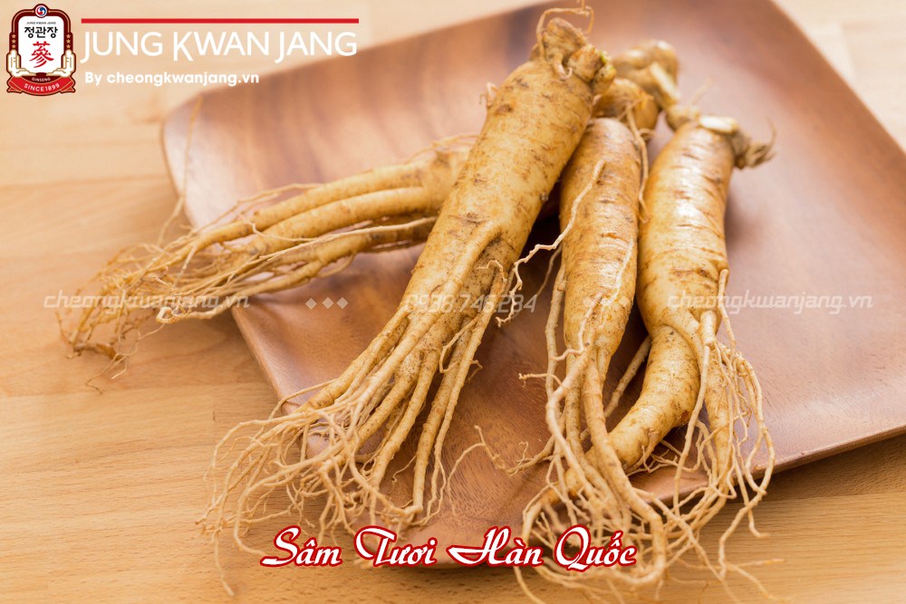 hình ảnh sâm tươi hàn quốc
