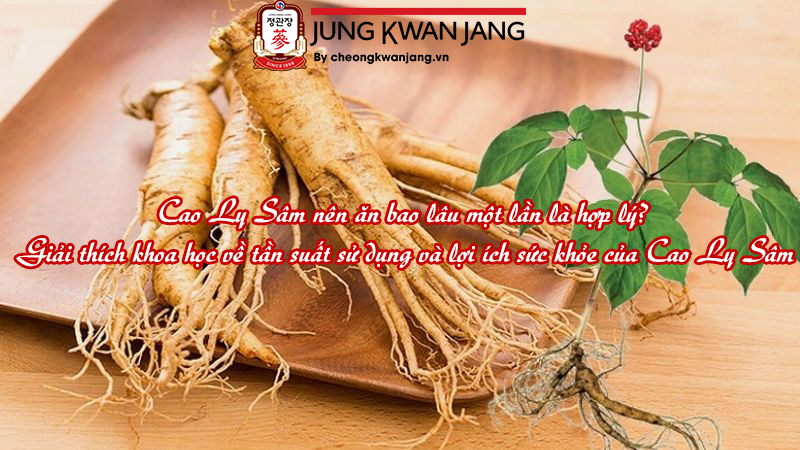 Cao Ly Sâm nên ăn bao lâu một lần là hợp lý? Giải thích khoa học về tần suất sử dụng và lợi ích sức khỏe của Cao Ly Sâm