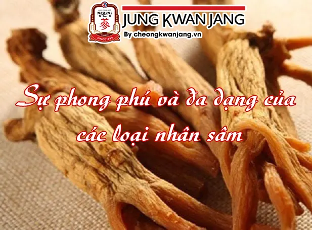 Sự phong phú và đa dạng của các loại nhân sâm
