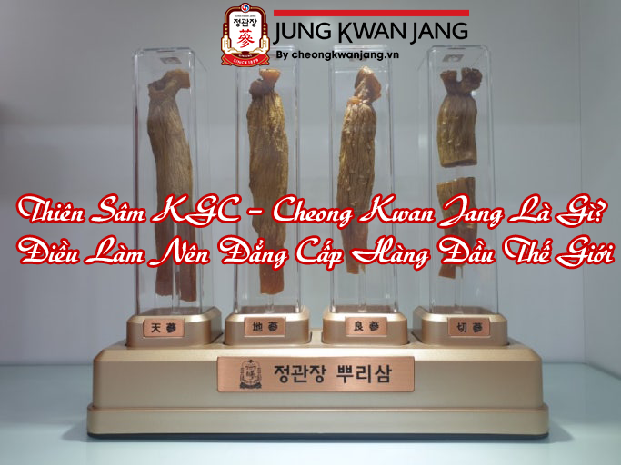 Thiên Sâm KGC – Cheong Kwan Jang Là Gì? Điều Làm Nên Đẳng Cấp Hàng Đầu Thế Giới