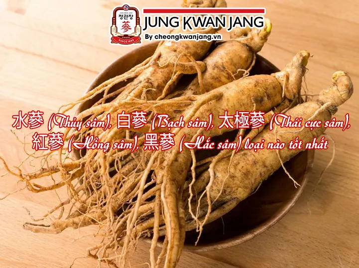 水蔘 (Thủy sâm), 白蔘 (Bạch sâm), 太極蔘 (Thái cực sâm), 紅蔘 (Hồng sâm), 黑蔘 (Hắc sâm) loại nào tốt nhất